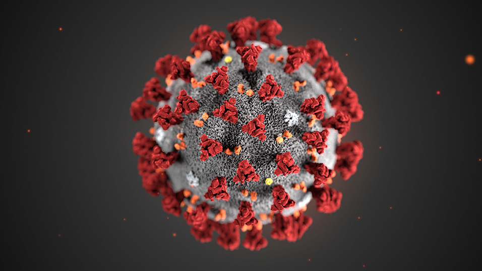 Coronavirus..terrore nell’aria….e privazione sulla terra.